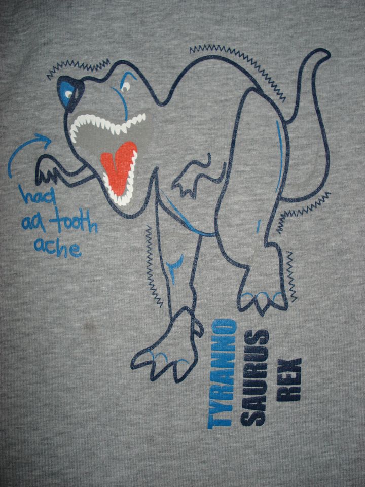 Gr. 116 Jungen Pullover mit Dinosaurier Bob der Bär grau blau in Berlin