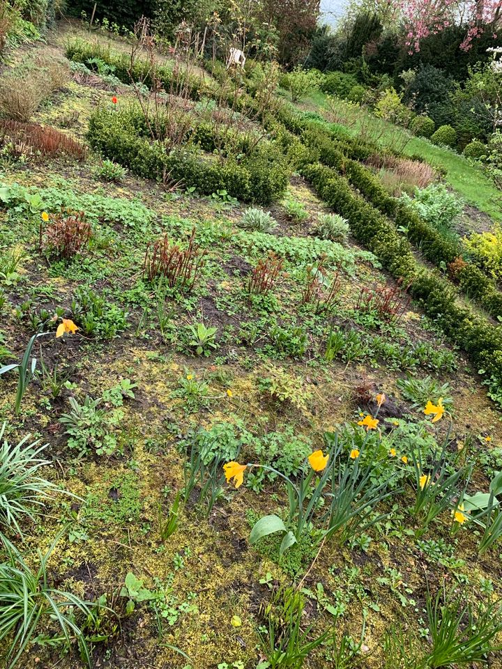 Hobbygarten in 25355 Barmstedt zu Verpachten in Ellerhoop