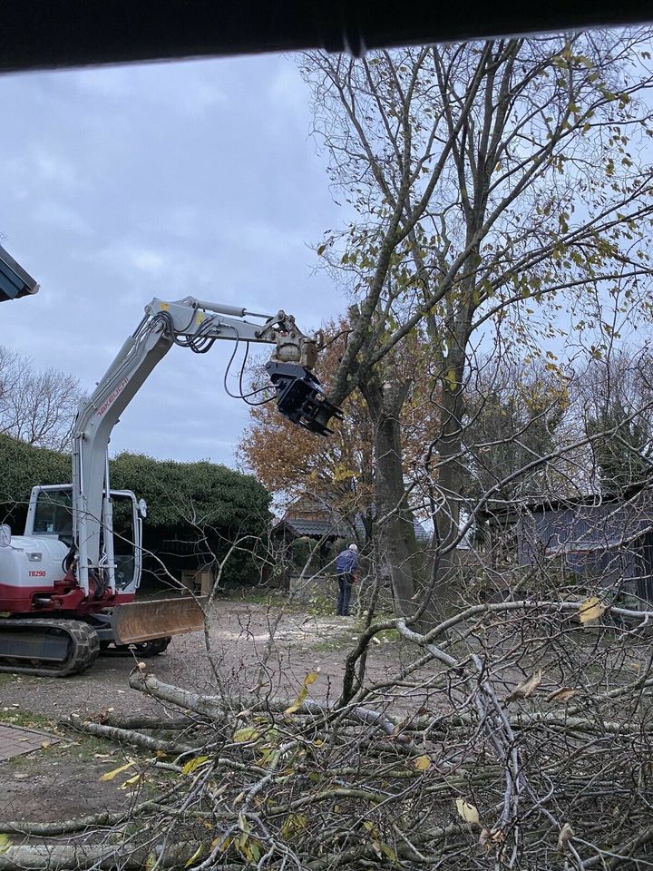 Fällgreifer JAC TMK Astschere Minibagger Takeuchi JCB Yanmar Cat in Wiemerstedt