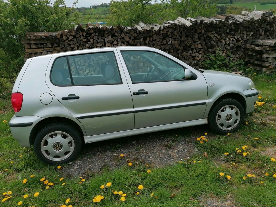 VW Polo Automatik in Rüthen