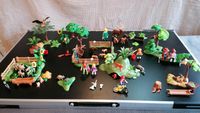 Playmobil Konvolut, Tierpark, Wildgehege, Park Nordrhein-Westfalen - Wettringen Vorschau