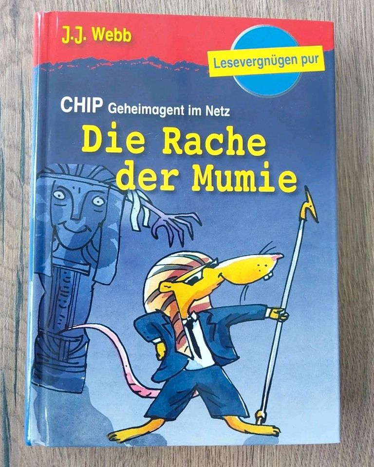 Chip Geheimagent im Netz - Die Rache der Mumie | Buch | J.J. Webb in Unterschneidheim