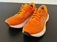 Asics Gel-Kayano 30 Gr. 45 Laufschuhe Hessen - Wiesbaden Vorschau