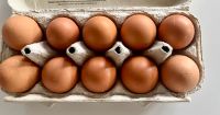 Frische Eier Hühnereier Brandenburg - Wriezen Vorschau