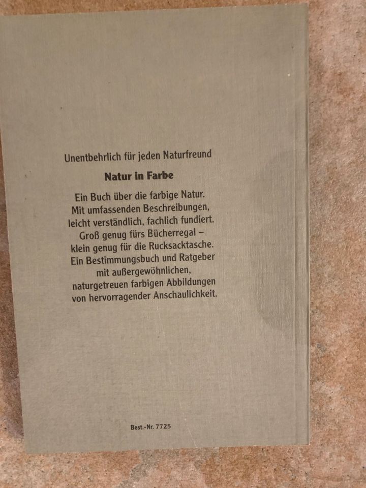 Schmetterlinge Tagfalter Buch Lebensweise in Köln