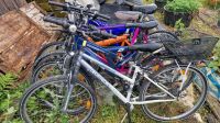 5 Fahrräder zu verschenken Baden-Württemberg - Baden-Baden Vorschau