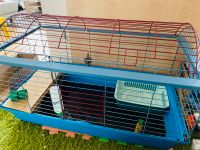 Große Käfig für Hamsters oder Kaninchen Leipzig - Mockau-Süd Vorschau