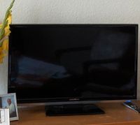 TV Gerät Marke Grundig Fernseher * update01mai24 Berlin - Lichterfelde Vorschau