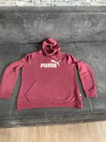 PUMA Sweatshirt Hoodie Pullover L/40 Thüringen - Suhl Vorschau