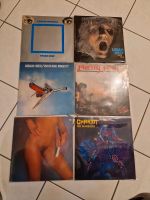 Schallplatten Sammlung Rock, hardrock , prog , heavy metal. Schleswig-Holstein - Kaltenkirchen Vorschau