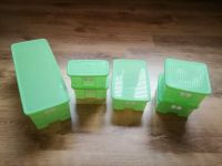 Tupperware Prima Klima Kühlschrankboxen Obst Gemüse Nordrhein-Westfalen - Werdohl Vorschau