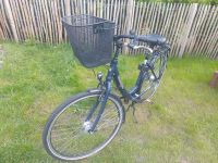 Bremerrad Fahrrad Damenrad 28 Zoll Bremen - Borgfeld Vorschau