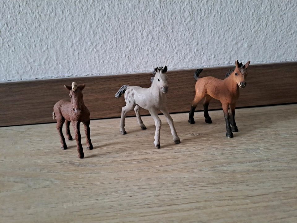 Schleich Pferde, Tiere, Menschen, Futter, Zubehör in Lunden