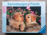 1000 Teile Ravensburger Puzzle "Zwei kleine Welpen " Sachsen-Anhalt - Magdeburg Vorschau