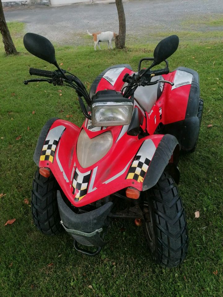 Aeon Revo R50 und Cobra 125RS Quad mit Straßenzulassung in Malsfeld