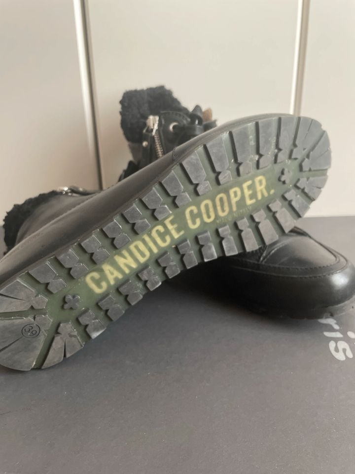 Candice Cooper Damenschuhe Gr. 39 in Erzhausen