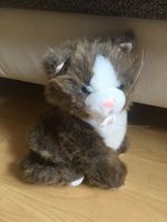 Bär / Teddy , Hase oder Katze von Heunec zu verkaufen Wiesbaden - Erbenheim Vorschau