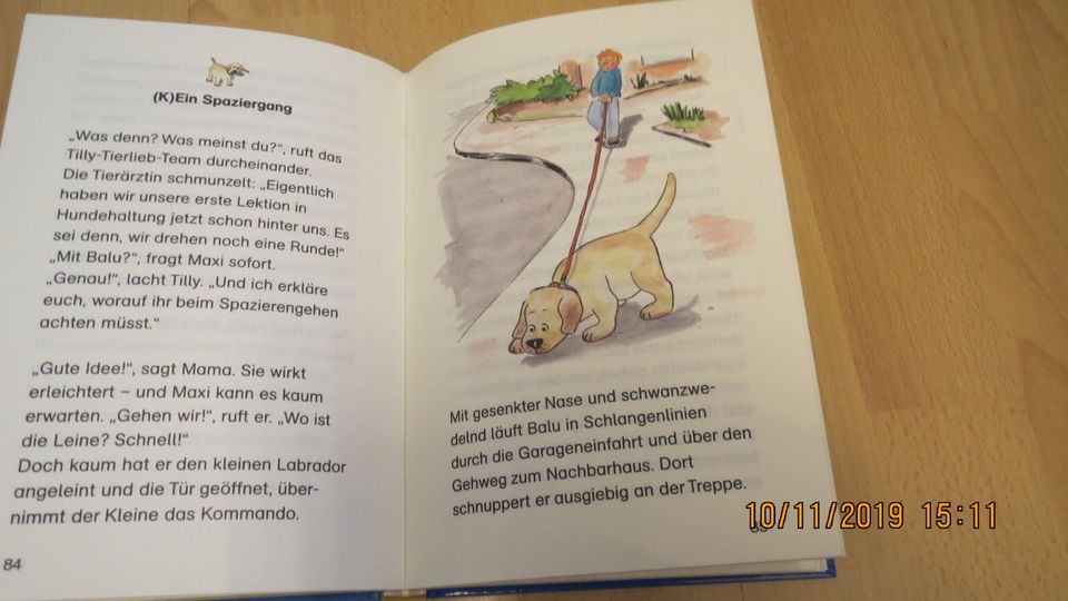 Kinderbücher Kinderbuch, Märchenbuch, Olchis, Sammlung 12 Stück in Dieburg