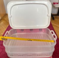 Kuchentransportbox Muffin Transportbox 40x25cm München - Ramersdorf-Perlach Vorschau