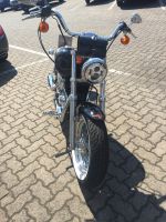 1200 Sportster Custom Old Style Hessen - Seligenstadt Vorschau