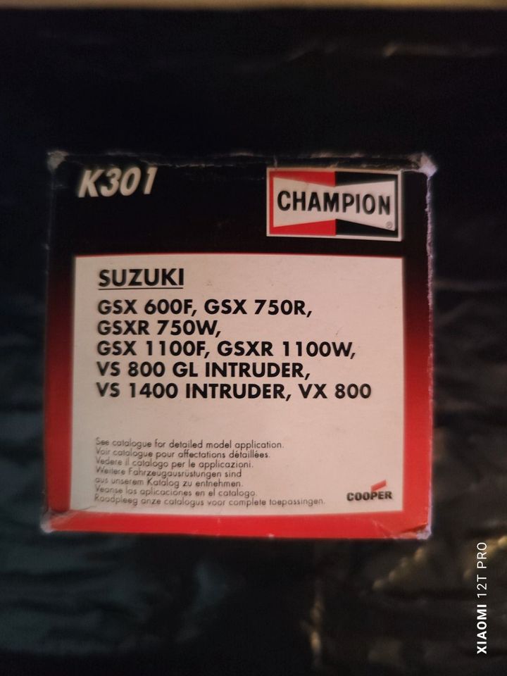 Champion K 301 Suzuki in Tellingstedt