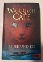 Erin Hunter, Warrior Cats, Band 2 und 4 verfügbar Brandenburg - Oranienburg Vorschau