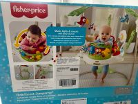 Rainforest Jumperoo- Fischer Price Bochum - Bochum-Ost Vorschau