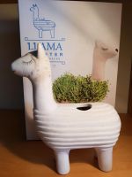 Lama planter LLAMA mit Anleitung für Microgreens Rheinland-Pfalz - Mainz Vorschau