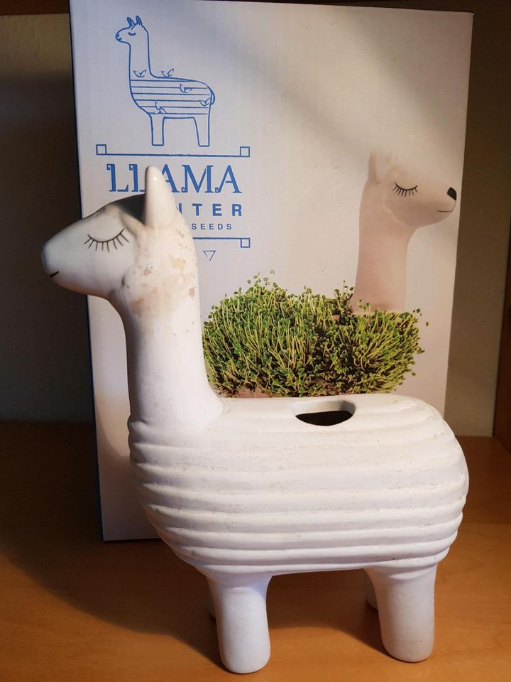 Lama planter LLAMA mit Anleitung für Microgreens in Mainz