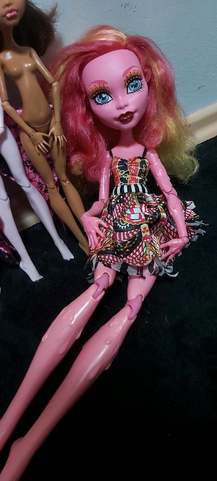 Monster High Puppen Konvolut OOAK in Hamburg