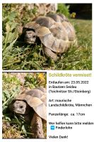 Schildkröte entlaufen/vermisst seit 23.05.2022 (Bautzen-Seidau) Sachsen - Bautzen Vorschau