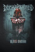 DECAPITATED Tour Shirt M Black Death Metal Slayer Morbid Angel Niedersachsen - Nordhorn Vorschau