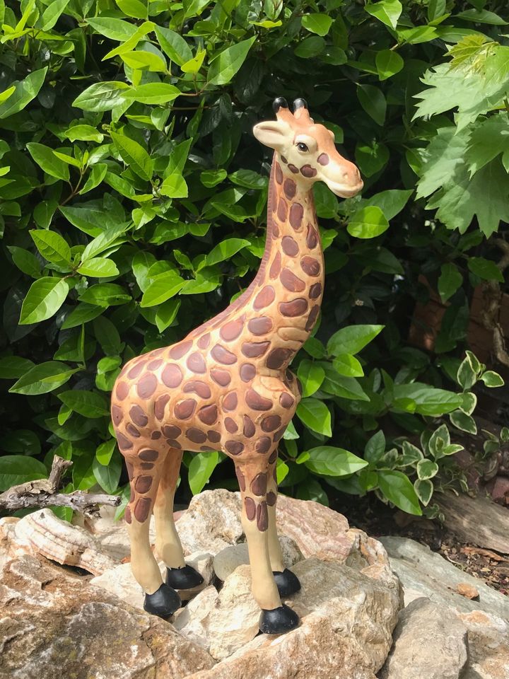 Bezaubernde Afrika GIRAFFE ca. 35 cm groß / schöne Deko! in Hochheim am Main