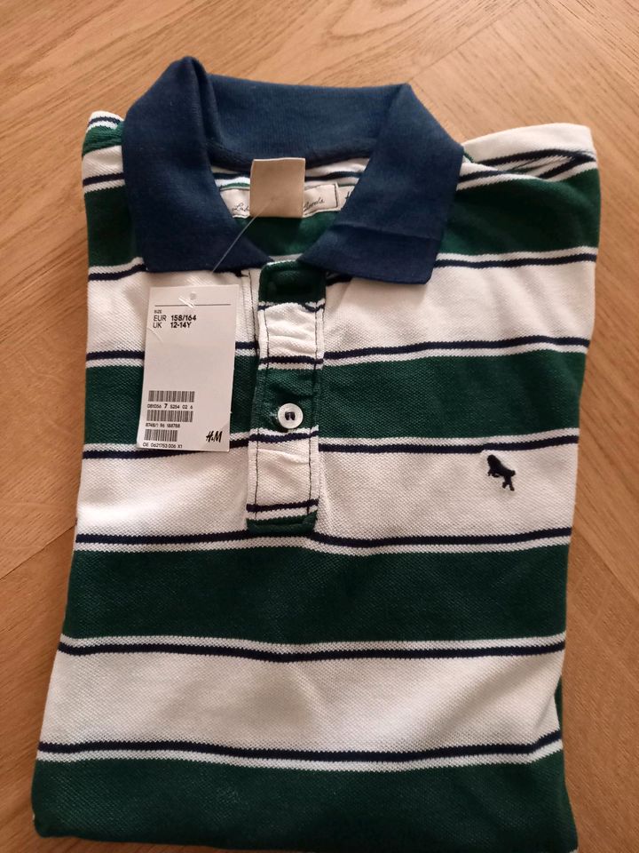 Poloshirt H&M Neu Gr. 164 170 Neu in Wettringen