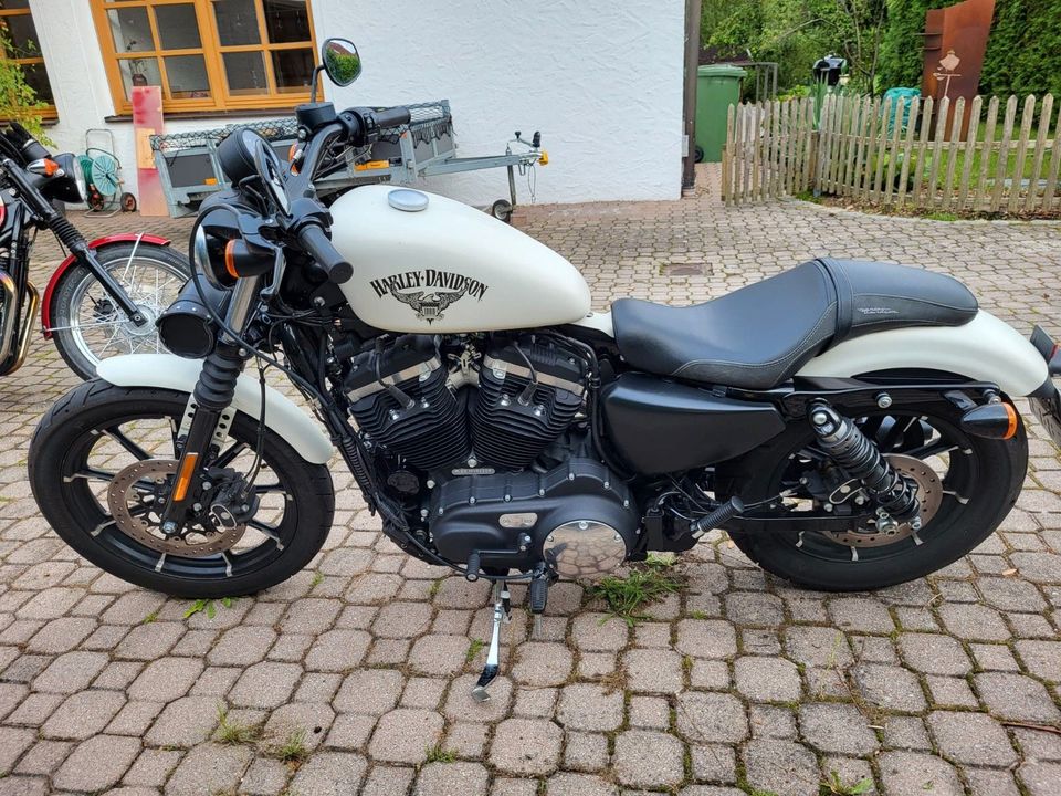 Harley-Davidson Sportster 883 Iron in Bodenkirchen