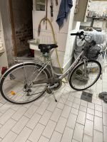 Damenfahrrad 26 Zoll  Shimano 6 Gangschaltung Essen-Borbeck - Essen-Vogelheim Vorschau