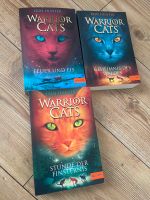 Warrior Cats Band 2, 3 und 6 Pankow - Prenzlauer Berg Vorschau