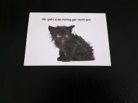 Karte Postkarte Katze Mir gehts so richtig gar nicht gut Schwachhausen - Gete Vorschau