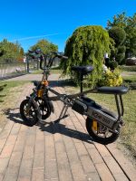 E -Bike, Dreirad, Marke ICe Q10 48 V Sachsen-Anhalt - Timmenrode Vorschau