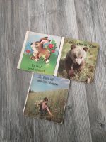 3 DDR Kinderbücher z. B. Tierkinder im Zoo Sachsen - Neukirchen/Erzgeb Vorschau