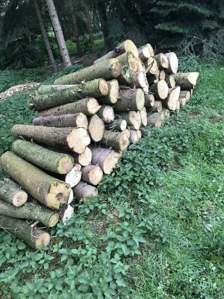 Brennholz Holz Feuerholz Kaminholz in Steinfurt