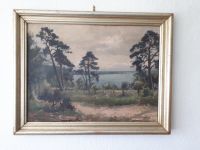 Original Gemälde Bild Joseph Rummelspacher Kiefern an der Havel Bayern - Lindau Vorschau