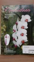 Orchideen Ratgeber Wissenswertes Artenvielfalt Niedersachsen - Uplengen Vorschau