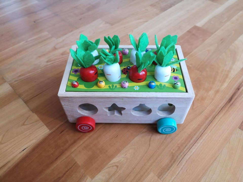 Montessori Spielzeug aus Holz, Formen sortieren, Feinmotorik in Bad Endbach