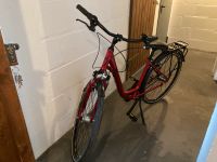 REDUZIERT Pegasus Damen City Bike tiefer Einstieg Niedersachsen - Braunschweig Vorschau