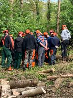 Motorsägen Kurs 2024/25 Nordrhein-Westfalen - Ennigerloh Vorschau