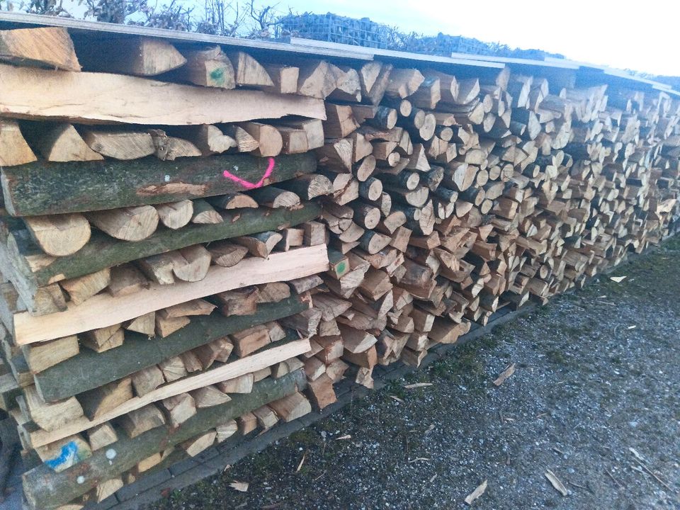 Brennholz Buche 1 Meter gespalten 2,5 Ster in Breitenbrunn