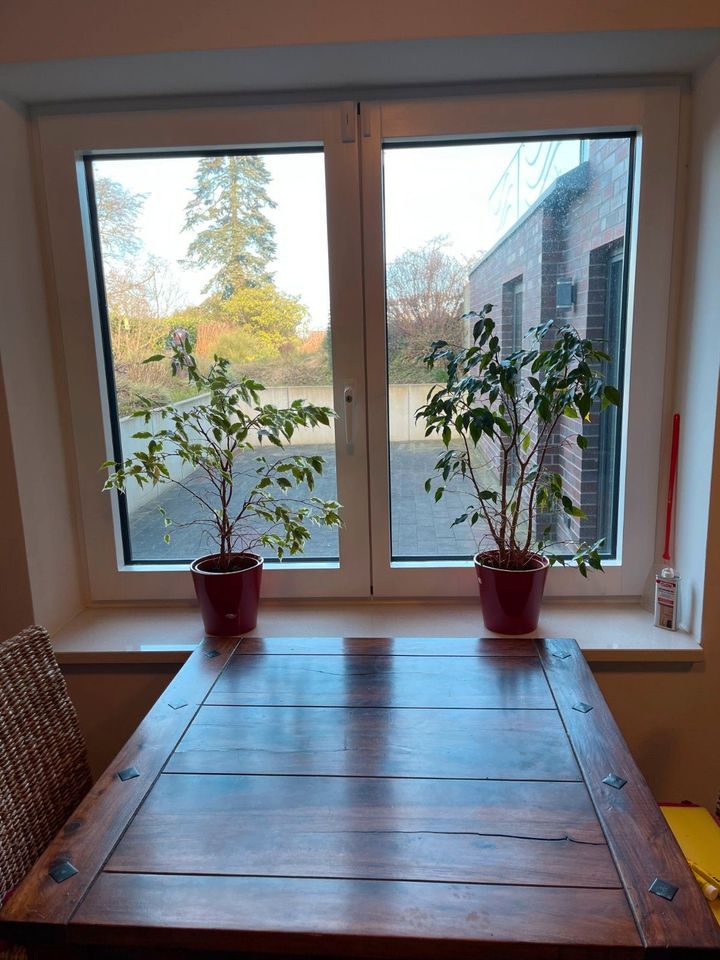 Hochwertige 3 Zimmer Wohnung in Toplage in Eckernförde