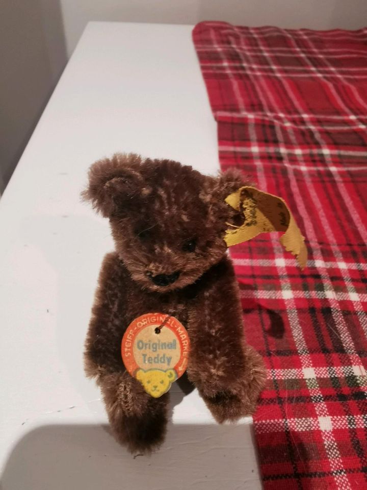 Steiff Tiere Rarität Original Teddy 10 cm braun komplett in Düsseldorf
