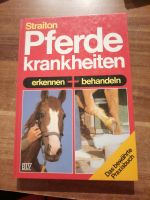 Pferde Krankheiten Rheinland-Pfalz - Westhofen Vorschau